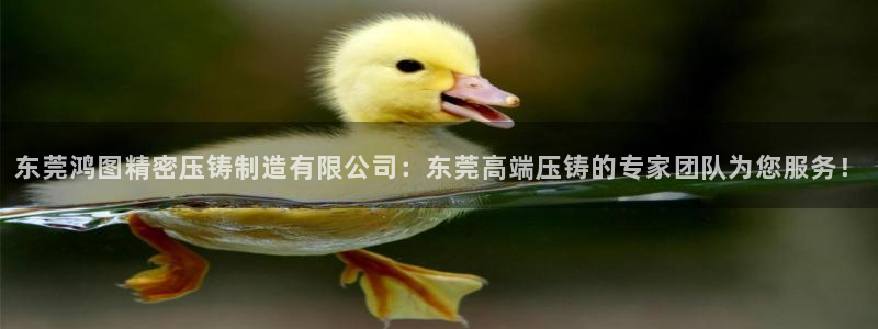 彩神xapp官方网站：东莞鸿图精密压铸制造有限公司：东莞高端压铸的专家团队为您服务！