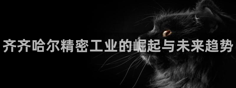彩神Vll购彩大厅：齐齐哈尔精密工业的崛起与未来趋势