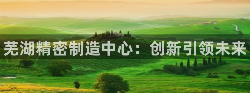 彩神ii官方网：芜湖精密制造中心：创新引领未来