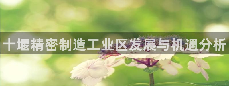 v彩神88iii：十堰精密制造工业区发展与机遇分析