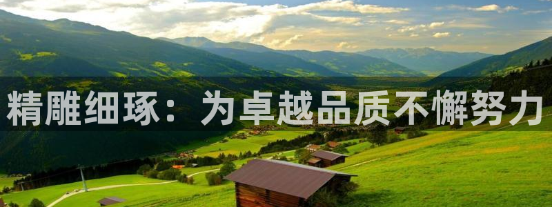 彩神vip购彩大厅：精雕细琢：为卓越品质不懈努力