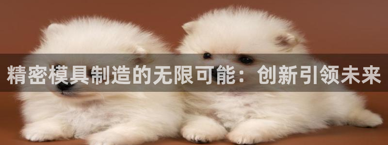 彩神vip购彩大厅在哪：精密模具制造的无限可能：创新引领未来