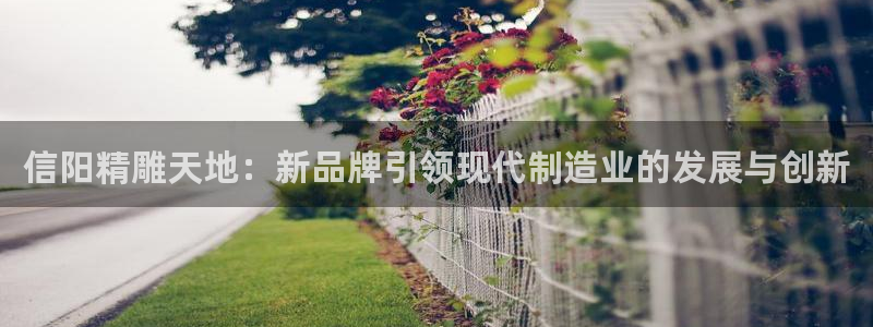 彩神v8手机客户端怎么下载