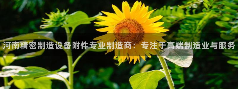 所有彩神购买首页都一样吗