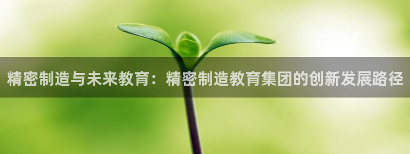 彩神是怎样一个平台赚钱的：精密制造与未来教育：精密制造教育集团的创新发展路径