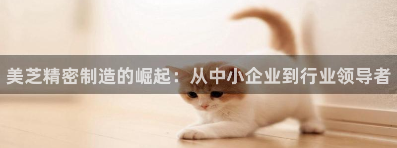 彩神Vll：美芝精密制造的崛起：从中小企业到行业领导者