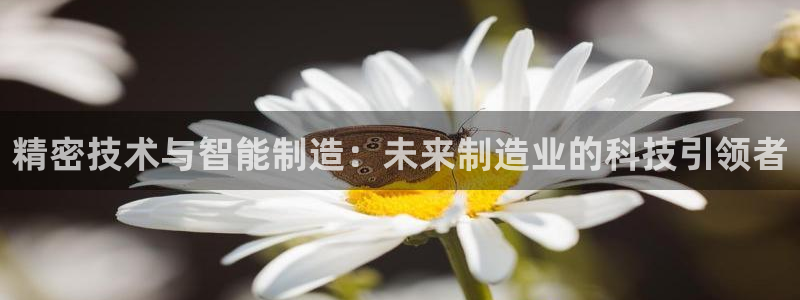 彩神数码科技有限公司