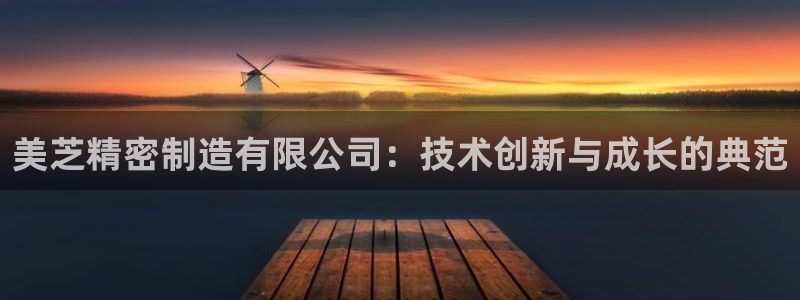 彩神旗下有哪些平台：美芝精密制造有限公司：技术创新与成长的典范