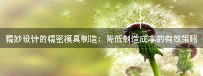 彩神v天天：精妙设计的精密模具制造：降低制造成本的有效策略