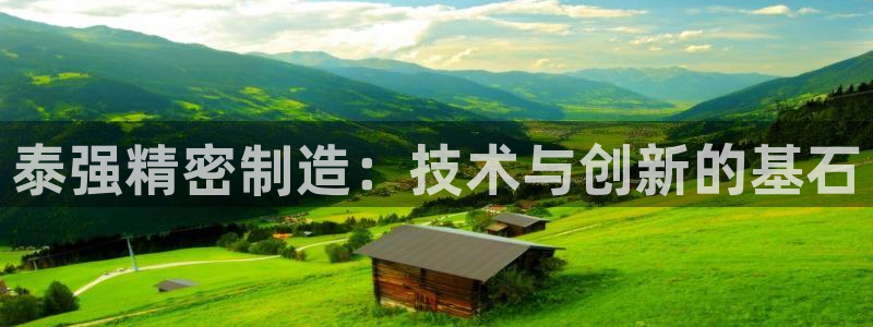 彩神V官网：泰强精密制造：技术与创新的基石