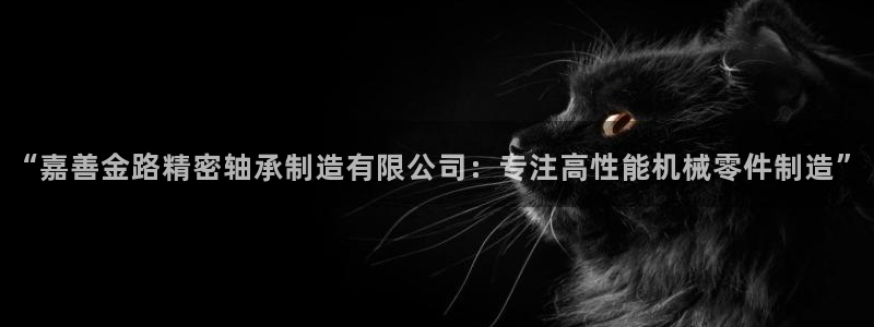 彩神购彩-购彩大厅入口老版：“嘉善金路精密轴承制造有限公司：专注高性能机械零件制造”