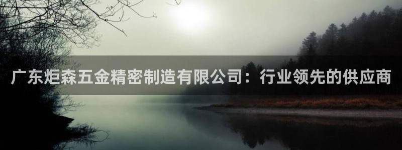 彩神vll购彩大厅：广东炬森五金精密制造有限公司：行业领先的供应商