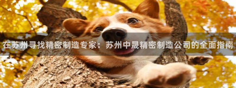 彩神是怎样一个平台：在苏州寻找精密制造专家：苏州中晟精密制造公司的全面指南