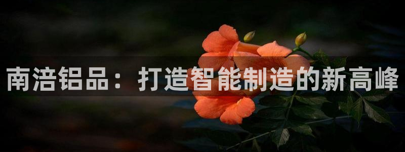 彩神vllⅰ购彩大厅：南涪铝品：打造智能制造的新高峰