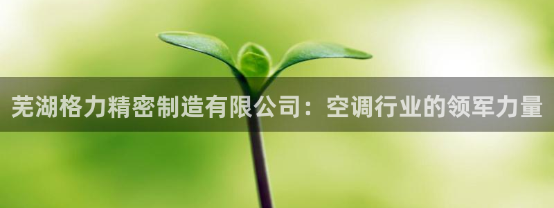 彩神是真的吗：芜湖格力精密制造有限公司：空调行业的领军力量