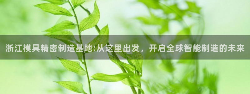 彩神v天天：浙江模具精密制造基地:从这里出发，开启全球智能制造的未来