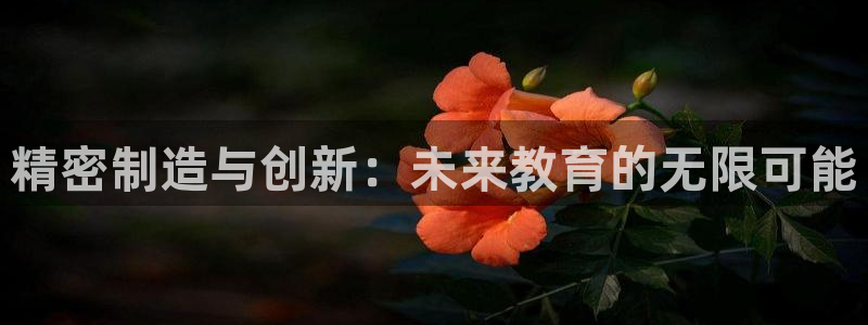 彩神大发云：精密制造与创新：未来教育的无限可能