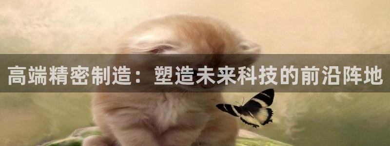 彩神 好 平台：高端精密制造：塑造未来科技的前沿阵地