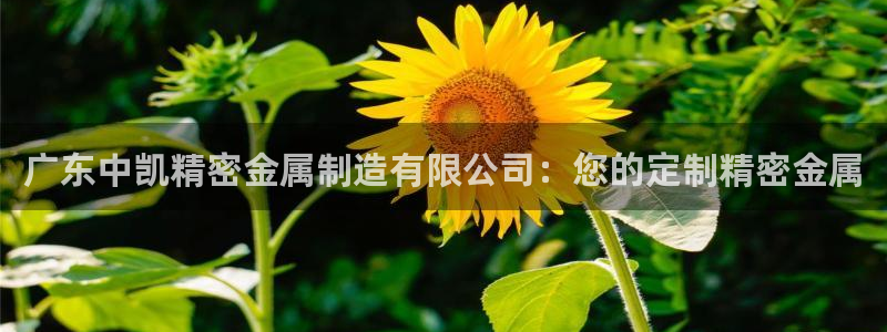 彩神大发三期计划网站