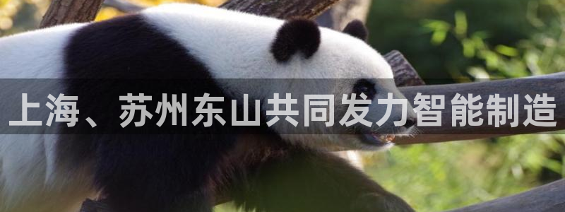 彩神vll首页企业文