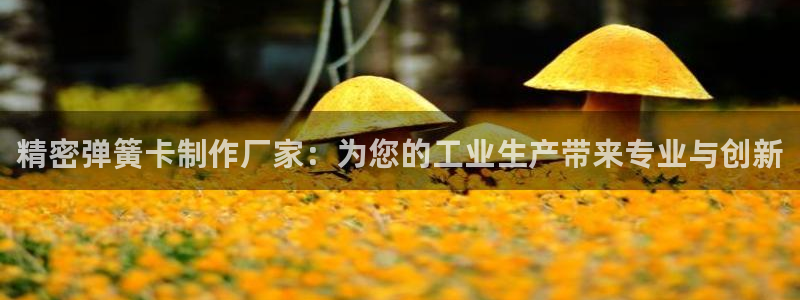 彩神赢钱了吗：精密弹