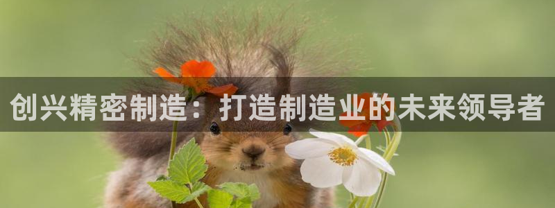 彩神v8平台正规吗安全吗：创兴精密制造：打造制造业的未来领导者