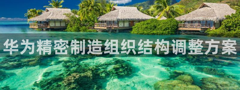 彩神数码科技有限公司：华为精密制造组织结构调整方案