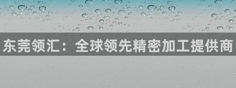 彩神v8手机客户端在哪：东莞领汇：全球领先精密加工提供商