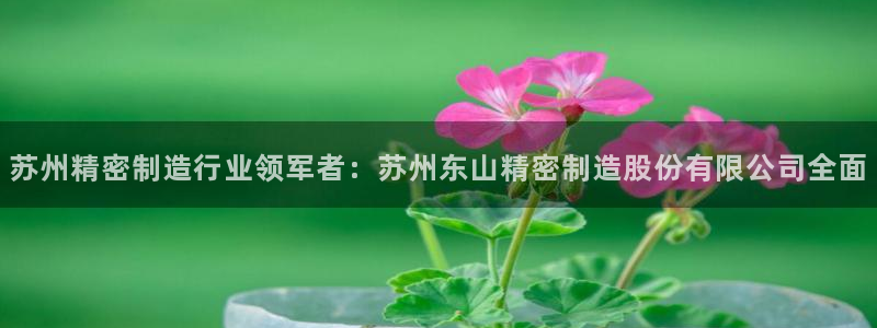 彩神争霸官网登录平台：苏州精密制造行业领军者：苏州东山精密制造股份有限公司全面