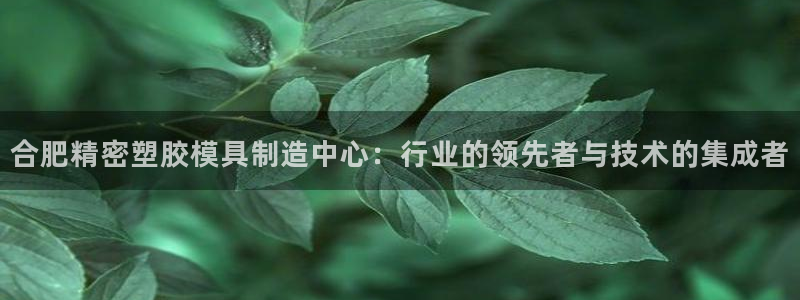 下载彩神乐发V：合肥精密塑胶模具制造中心：行业的领先者与技术的集成者