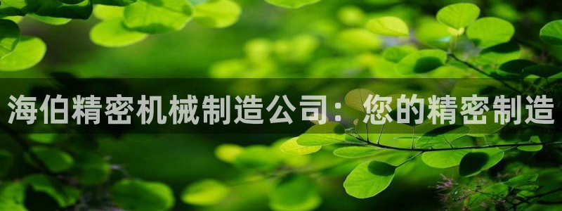 天天赢彩神：海伯精密机械制造公司：您的精密制造