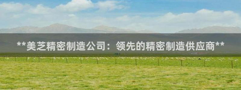 彩神争霸官方登录：**美芝精密制造公司：领先的精密制造供应商**