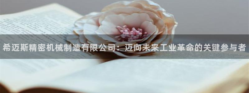 彩神平台能提现吗：希迈斯精密机械制造有限公司：迈向未来工业革命的关键参与者