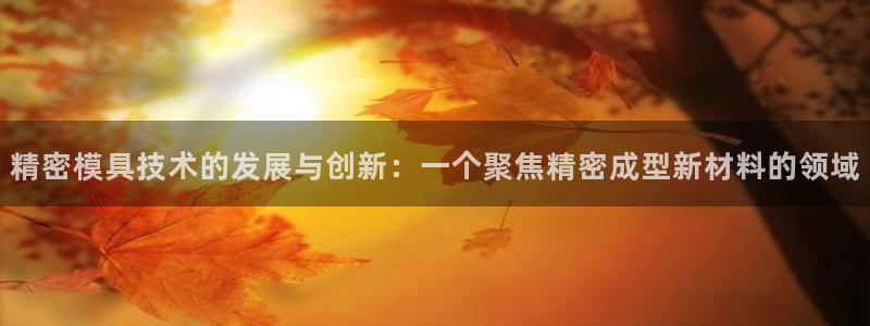 彩神v1官网：精密模具技术的发展与创新：一个聚焦精密成型新材料的领域