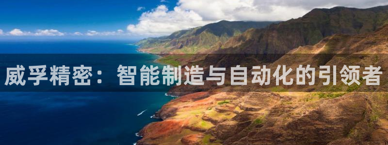 彩神v1官网：威孚精密：智能制造与自动化的引领者