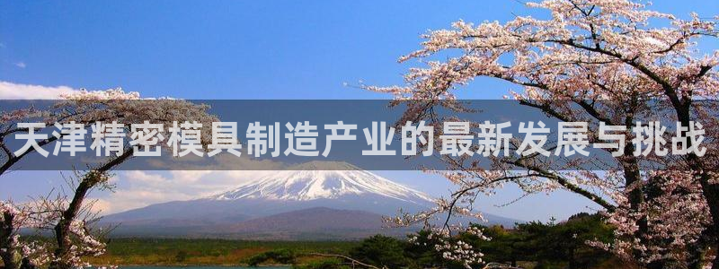 彩神到底能不能赚钱：天津精密模具制造产业的最新发展与挑战