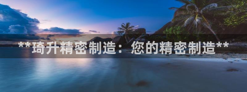 彩神官方登录：**琦升精密制造：您的精密制造**