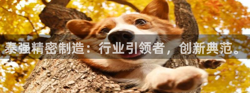 彩神大发三期计划网站：泰强精密制造：行业引领者，创新典范。