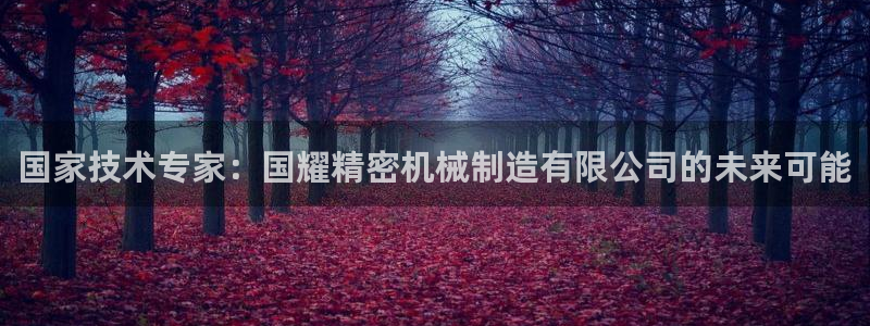 彩神app赚钱是真是假：国家技术专家：国耀精密机械制造有限公司的未来可能