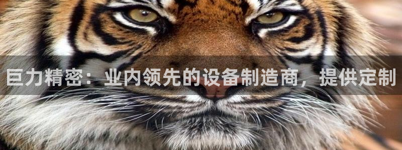 彩神vi争霸官网：巨力精密：业内领先的设备制造商，提供定制