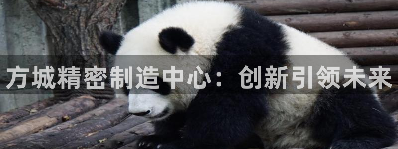 彩神网可以赚钱是真的吗：方城精密制造中心：创新引领未来