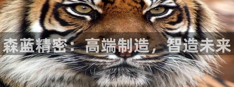 彩神v8手机客户端：森蓝精密：高端制造，智造未来