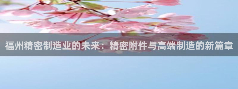 彩神是怎样一个平台：福州精密制造业的未来：精密附件与高端制造的新篇章