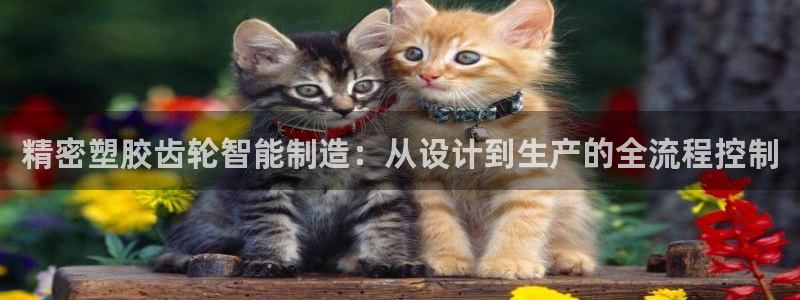 彩神购彩-购彩大厅入口：精密塑胶齿轮智能制造：从设计到生产的全流程控制