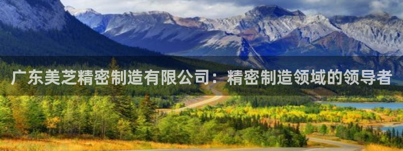 彩神网官网登录：广东美芝精密制造有限公司：精密制造领域的领导者