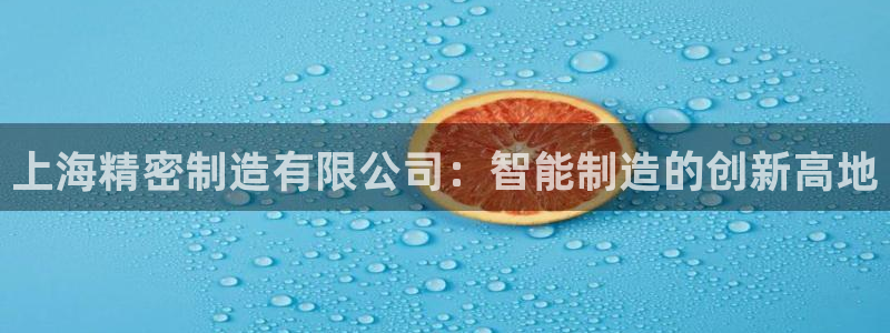 彩神网正规吗：上海精密制造有限公司：智能制造的创新高地