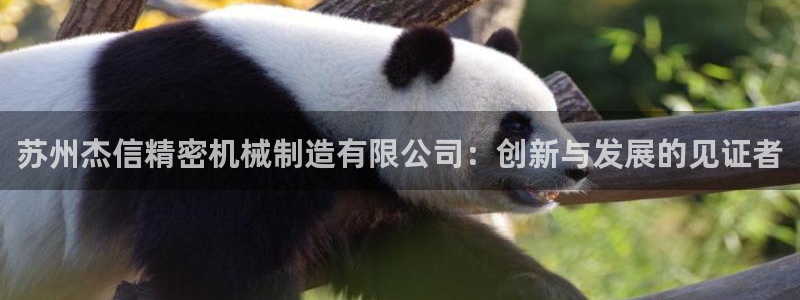 彩神网可以赚钱是真的吗：苏州杰信精密机械制造有限公司：创新与发展的见证者
