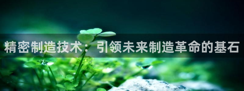 彩神网能赚钱是怎么回事：精密制造技术：引领未来制造革命的基石