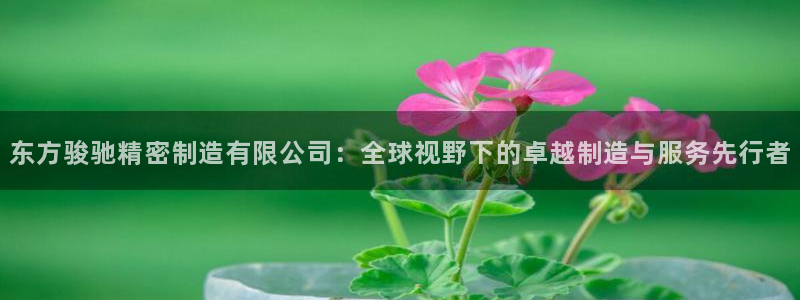 彩神v8平台正规吗：东方骏驰精密制造有限公司：全球视野下的卓越制造与服务先行者