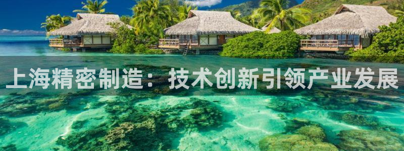 彩神争霸官方下载：上海精密制造：技术创新引领产业发展